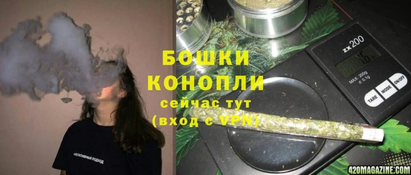 тгк Бородино