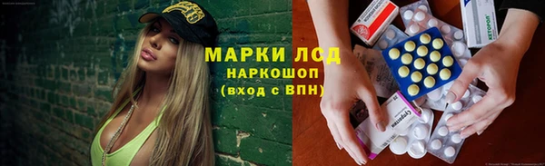 тгк Бородино