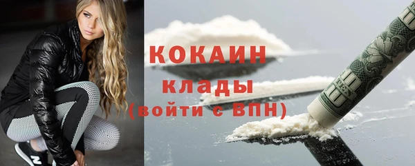 бошки Бронницы