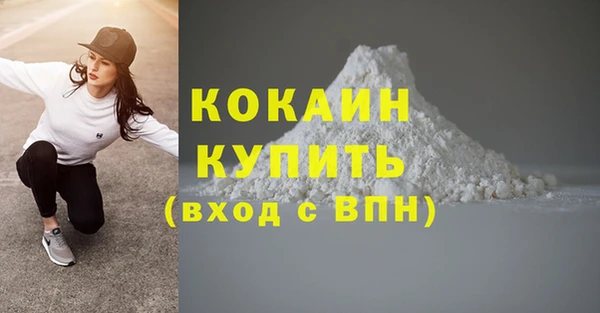 бошки Бронницы