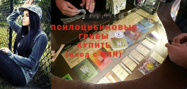 бошки Бронницы