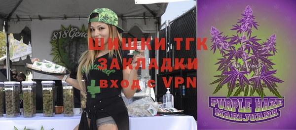 тгк Бородино