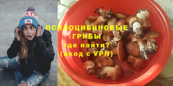 тгк Бородино