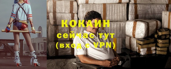 тгк Бородино