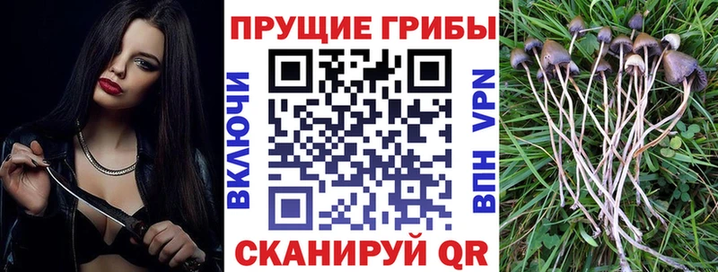 наркошоп  Грязи  Галлюциногенные грибы мицелий 